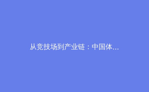 从竞技场到产业链：中国体育产业的生态变革与未来挑战 - 4
